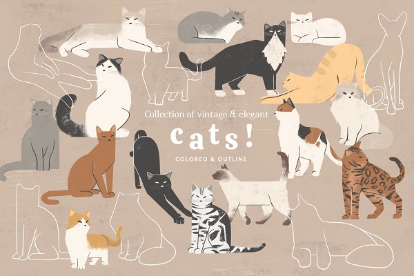 Download Cats Collection: Colored and Outline