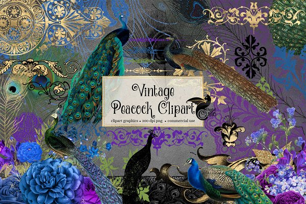 Download Vintage Peacock Clipart