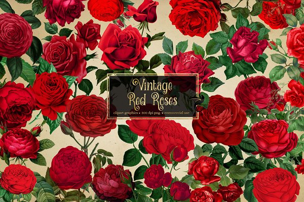 Download Vintage Red Roses Clipart