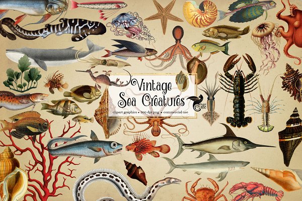 Download Vintage Sea Creatures Clipart