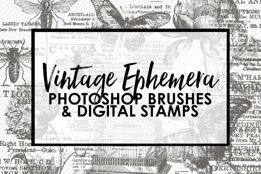 Download Vintage Ephemera PS Brushes & Stamps