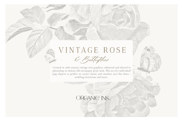 Download Vintage Rose and Butterfiles Clipart
