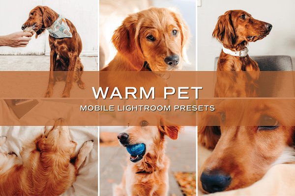 Download 5 Warm Pet Lightroom Presets