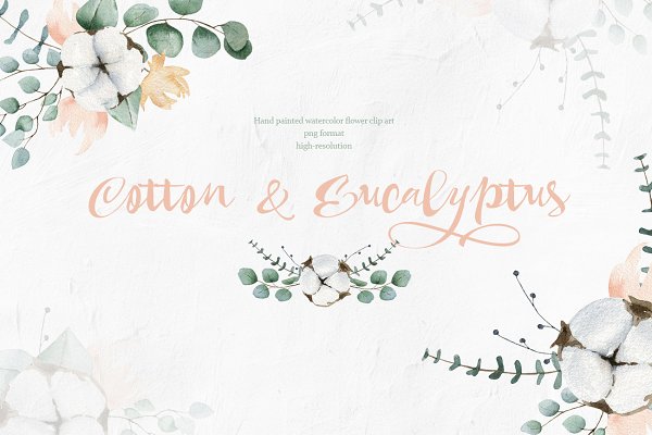Download Cotton and Eucalyptus
