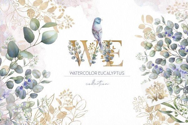 Download Watercolor Eucalyptus collection