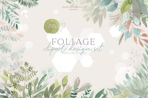 Download Foliage watercolor botanical & herbs