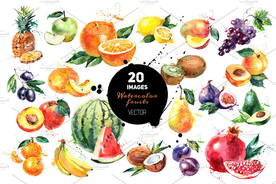 Download 20 Watercolor Fruits Vector