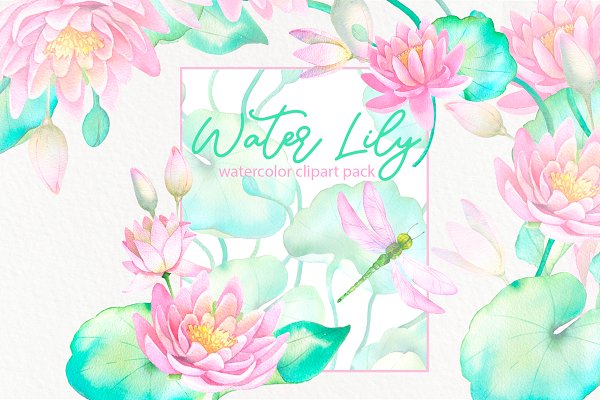 Download Watercolor waterlily lotus flowers