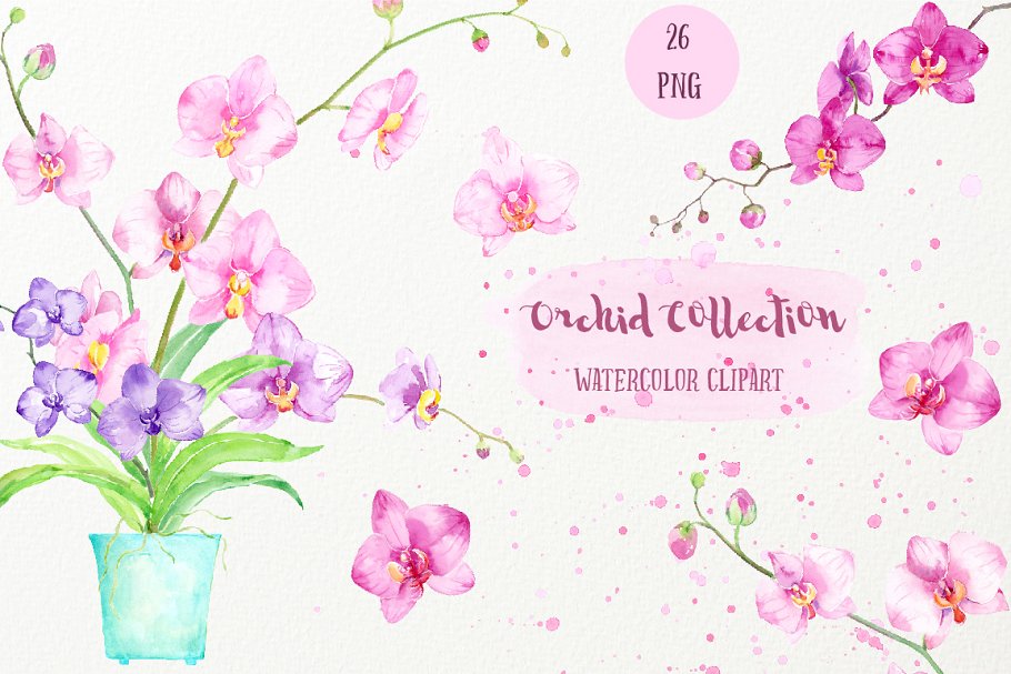 Download Watercolor Clipart Orchid Collection