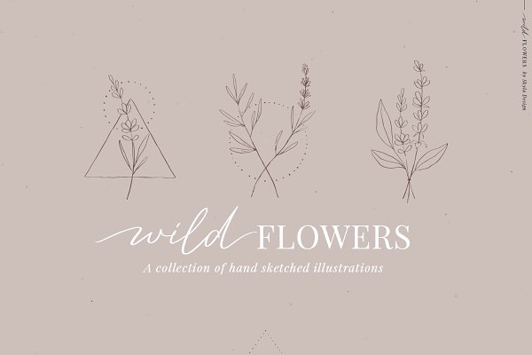 Download WildFlowers illustrations geometric
