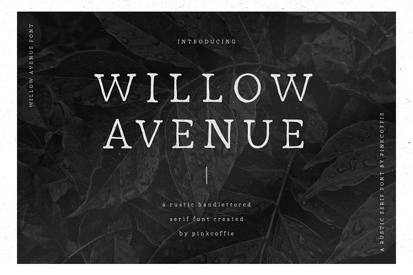 Download Willow Avenue | Hand-lettered Serif