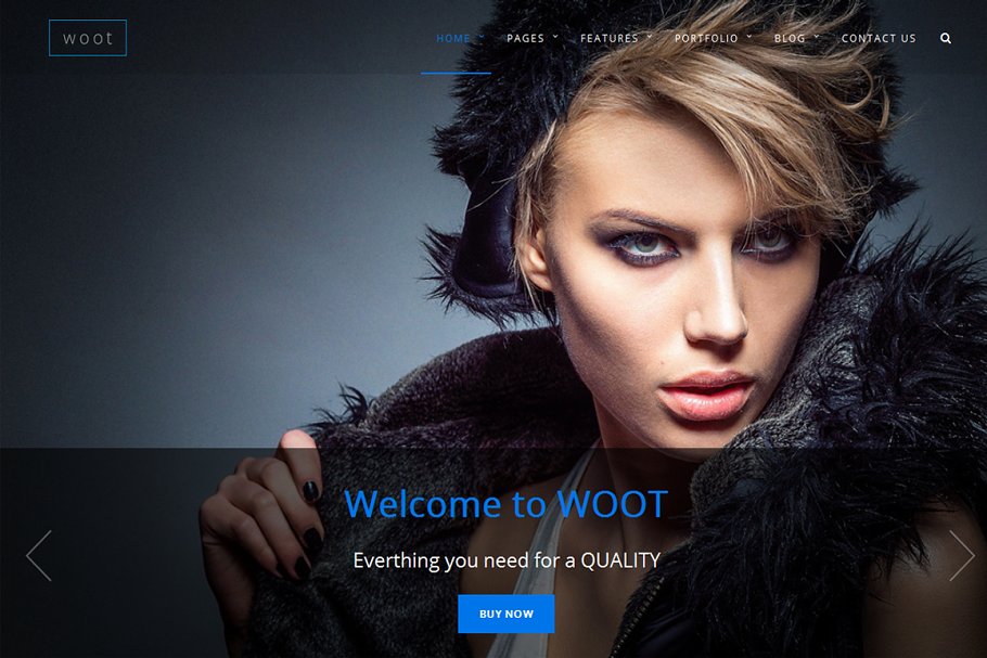 Download woot-Multipurpose Responsive WPTheme