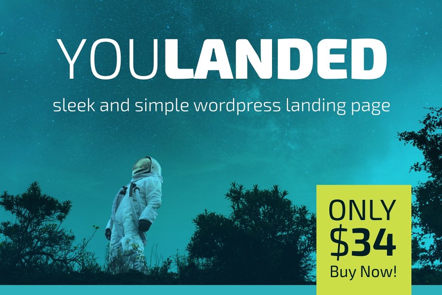 Download You Landed - Wordpress Landing Page