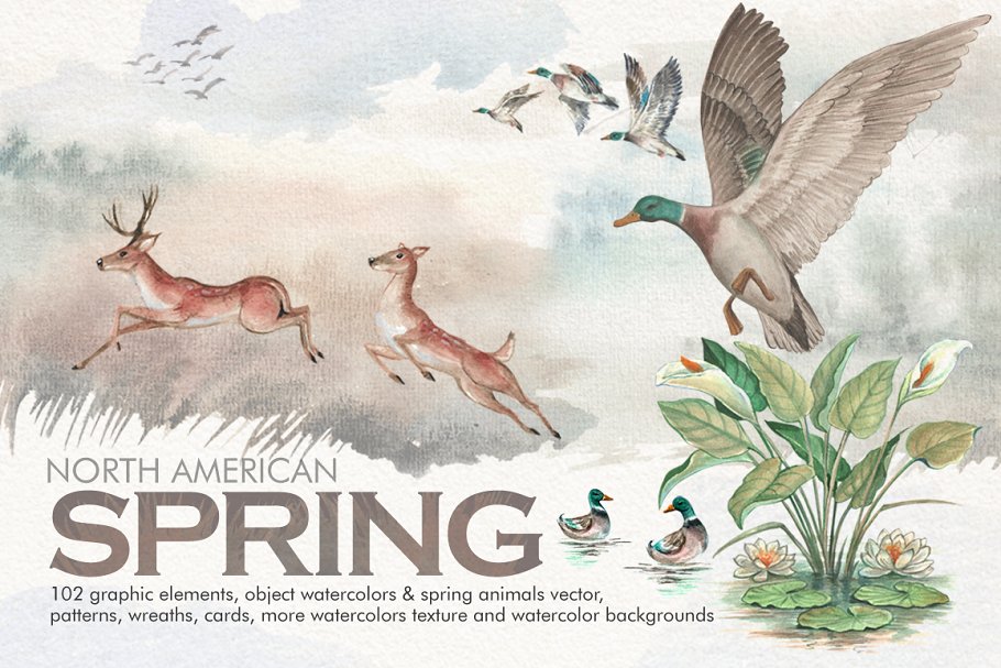 Download Watercolor North American Spring