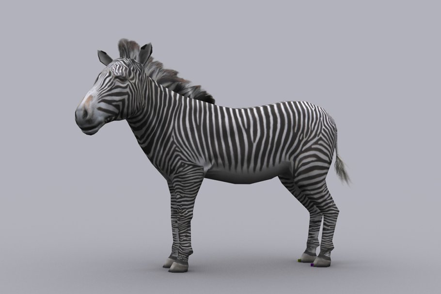Download ZEBRA with Native File