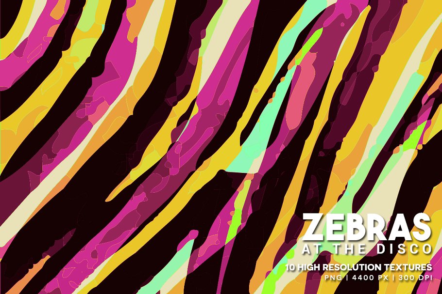 Download Zebras at the Disco
