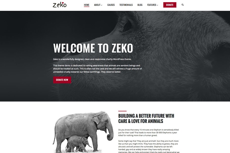 Download Zeko - Non-Profit WordPress Theme
