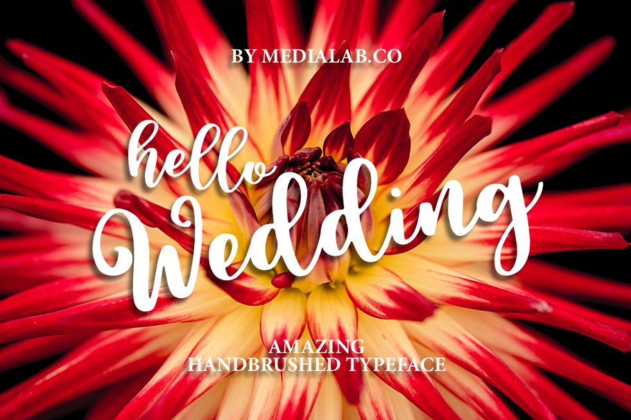 Download Hello Wedding