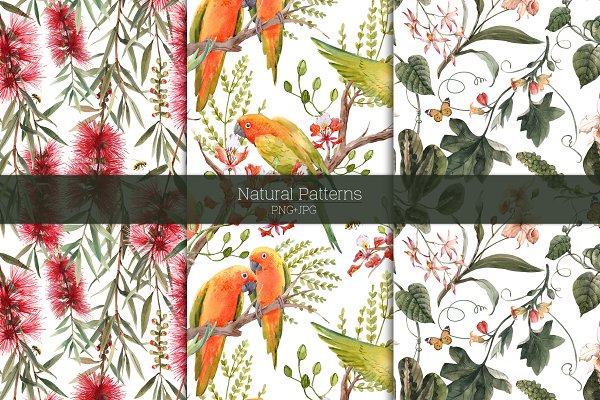 Download Watercolor Floral Patterns PNG+JPEG