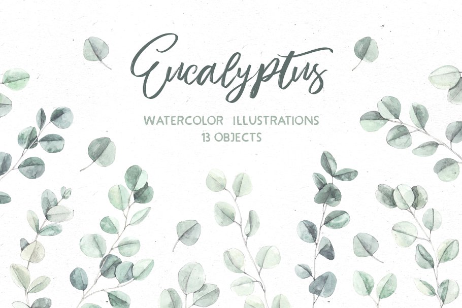 Download Eucalyptus. Watercolor illustrations