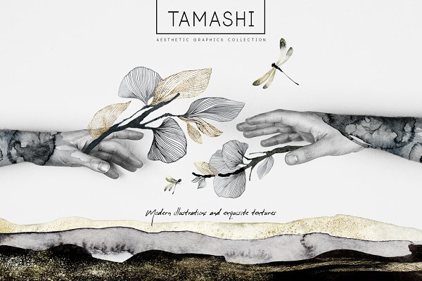 Download "Tamashi" Elegant Graphic Collection