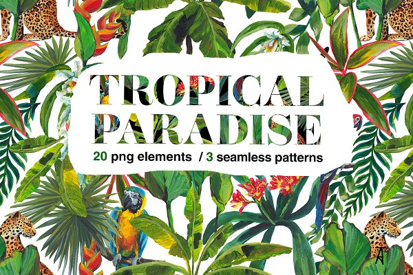 Download Tropical paradise. PNG and patterns