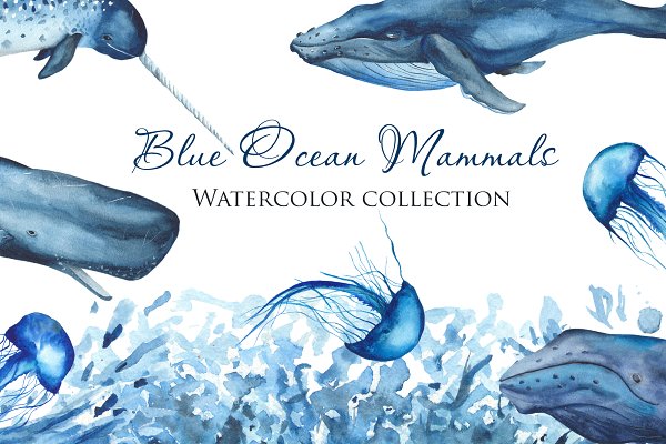 Download Blue Ocean Mammals. Watercolor.