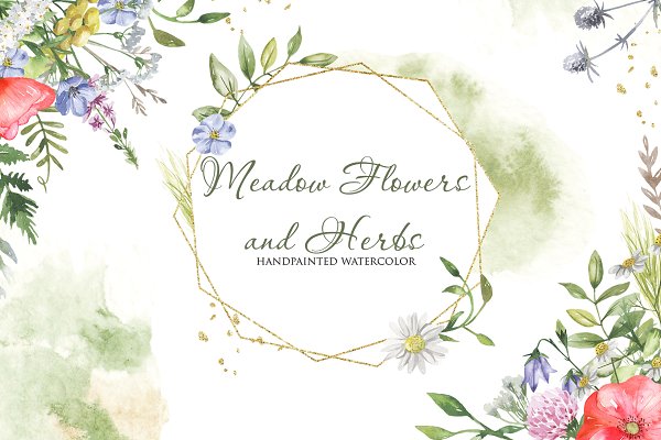 Download Meadow flowers and herbs. Watercolor