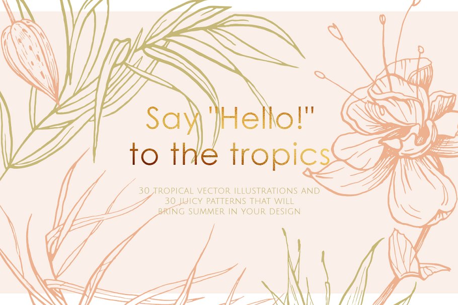 Download Tropical illustrations and patterns