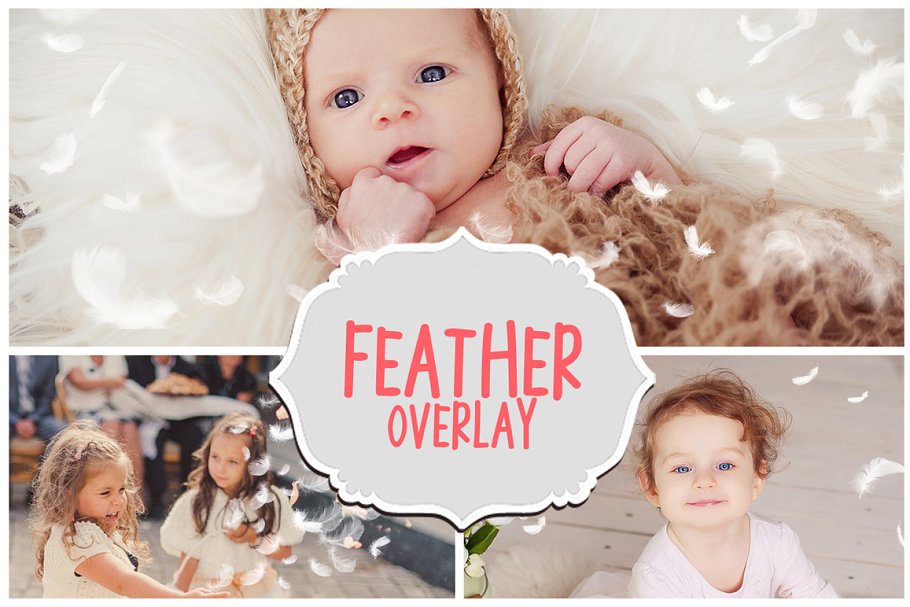 Download Feather Photo Overlays
