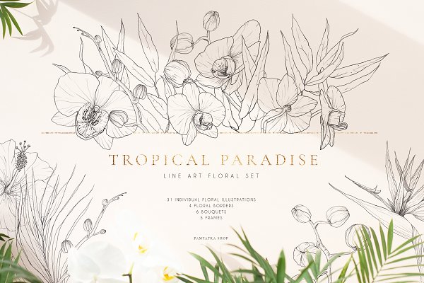 Download Tropical paradise. Line art set
