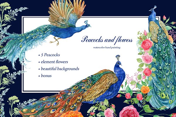 Download Peacocks and flowers/watercolor