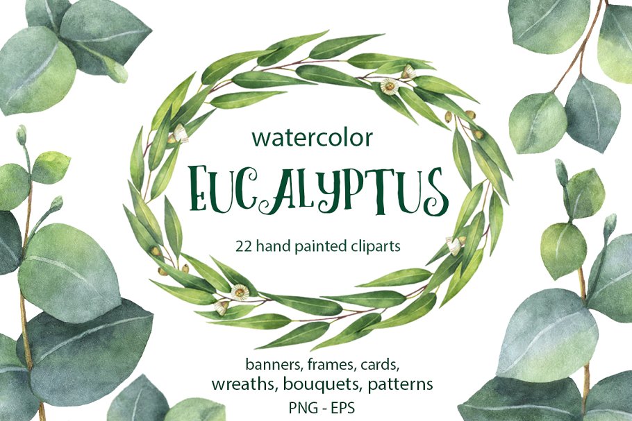 Download Watercolor Eucalyptus.