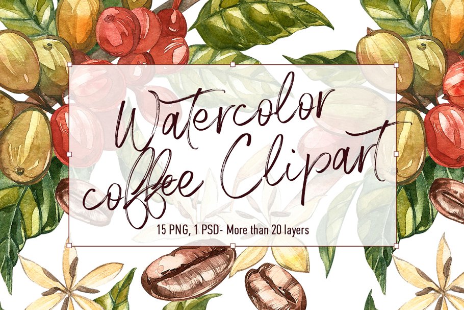 Download Coffee in botanical style